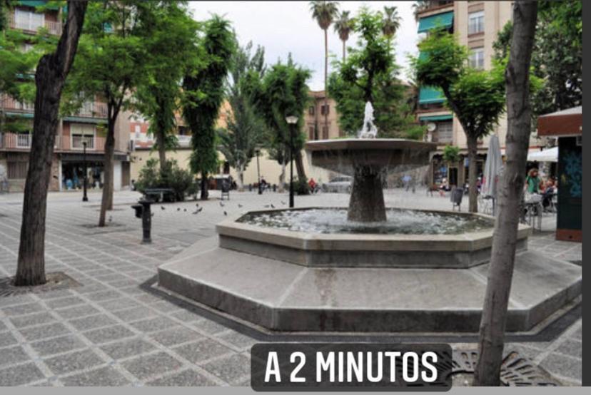 Apartamento Luna Centro 5